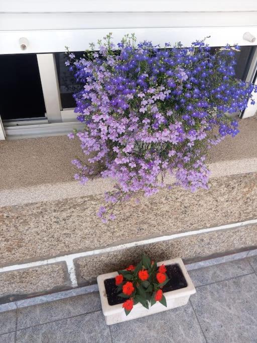 Apartamento En San Vicente De O Grove Dış mekan fotoğraf