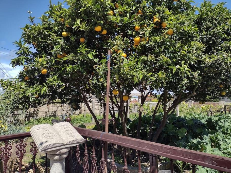 Apartamento En San Vicente De O Grove Dış mekan fotoğraf